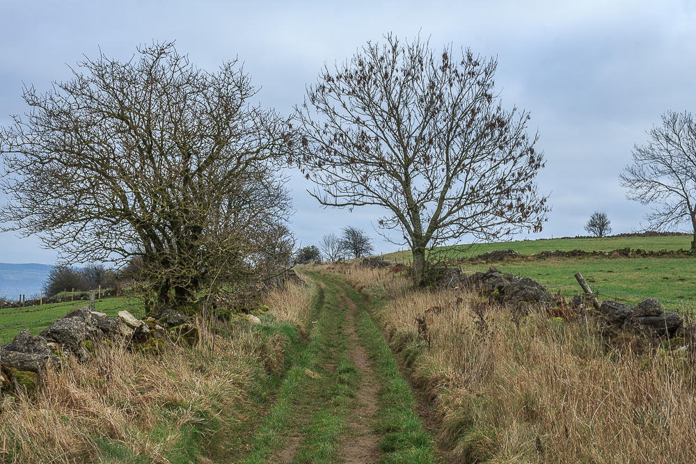 Limestone Way Limestone Way